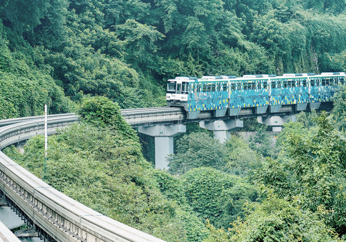 李子坝步道彩绘